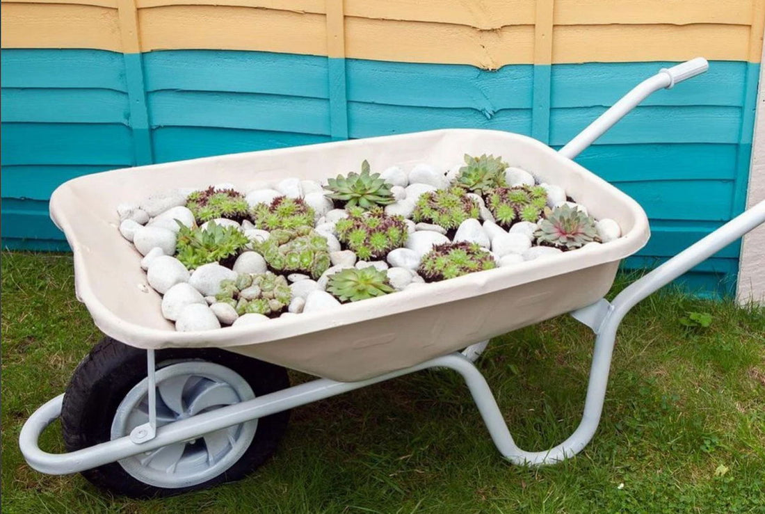 The Role of a Wheelbarrow in the Garden